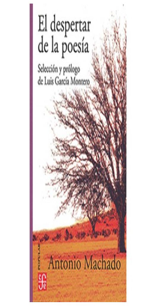 El Despertar De La Poesía