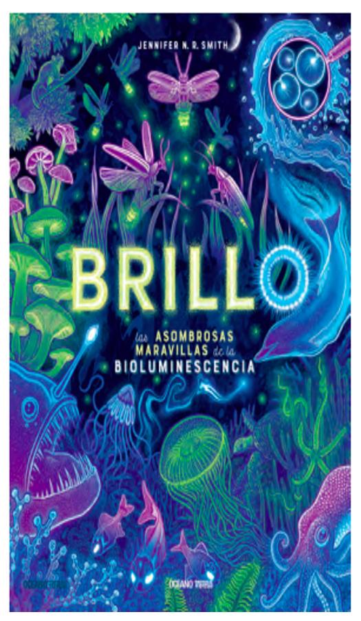 Brillo