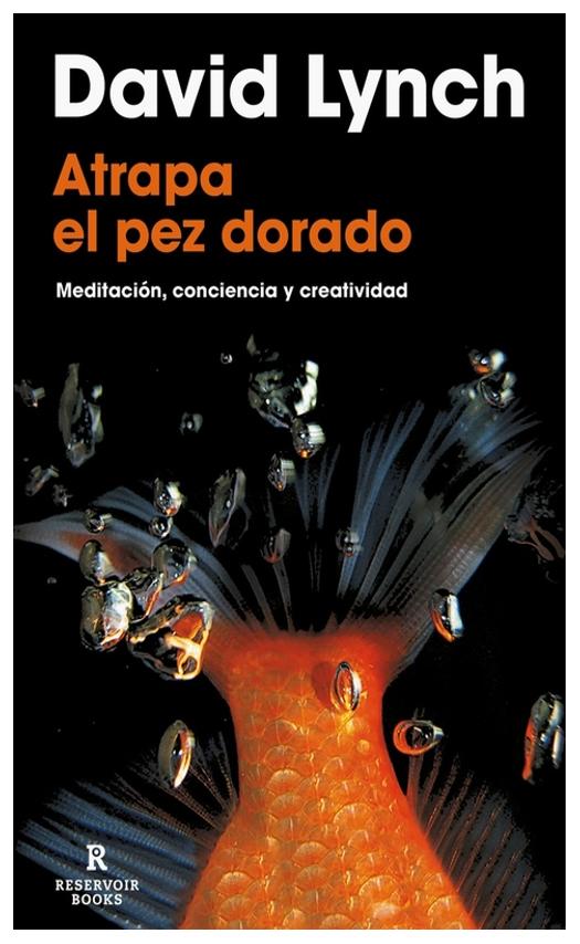Atrapa El Pez Dorado