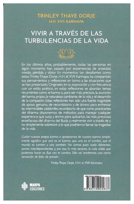 Vivir A Traves De Las Turbulencias ...