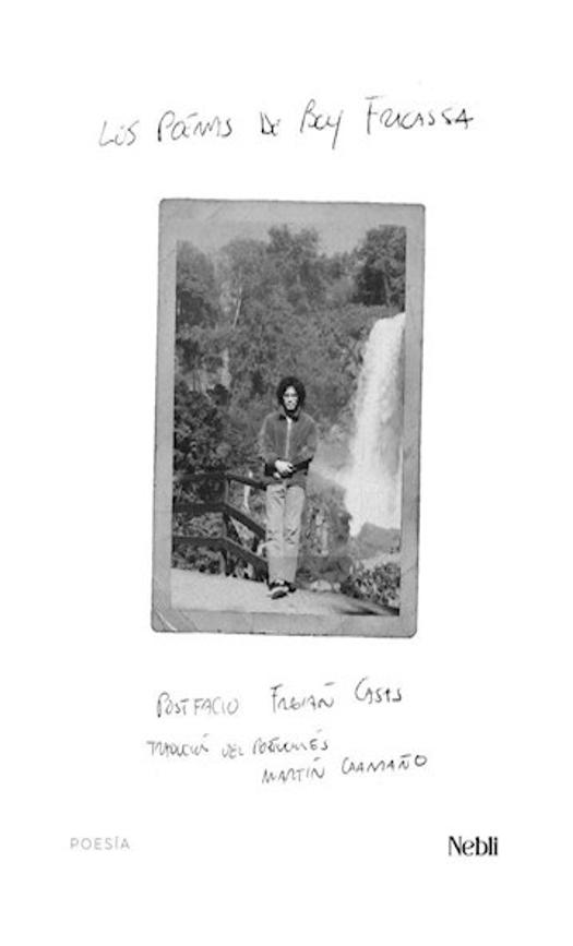 Los Poemas De Boy Fracassa