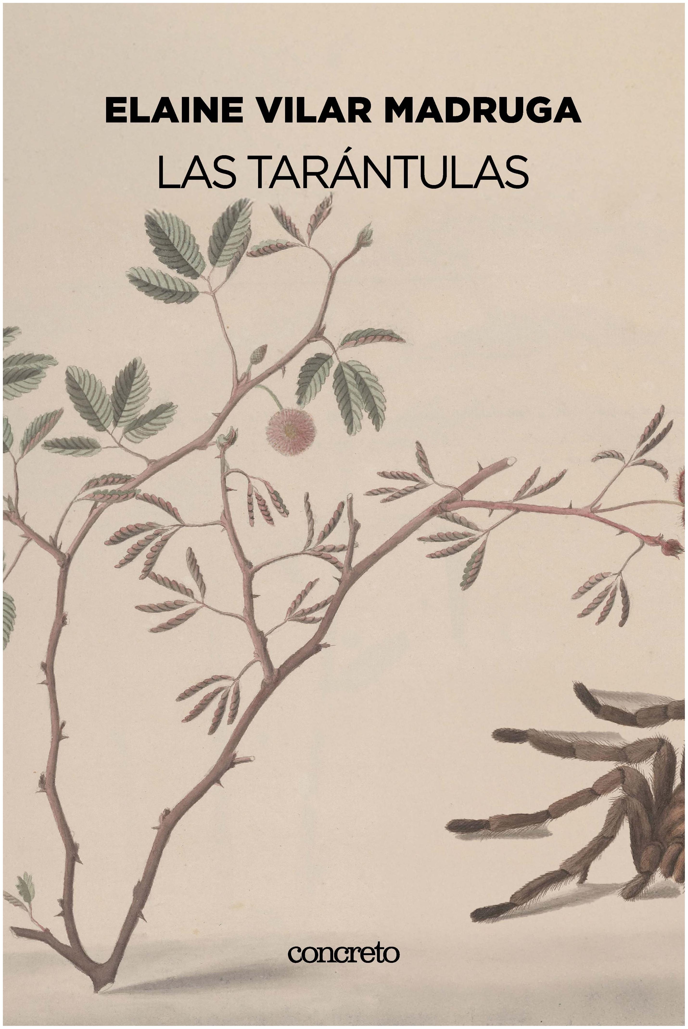 Las Tarántulas