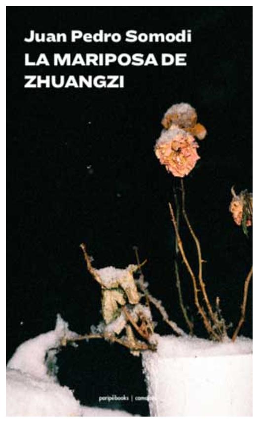 La Mariposa Del Zhuangzi