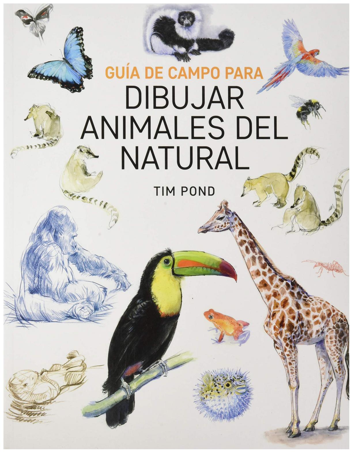 Guía De Campo Para Dibujar Animale...