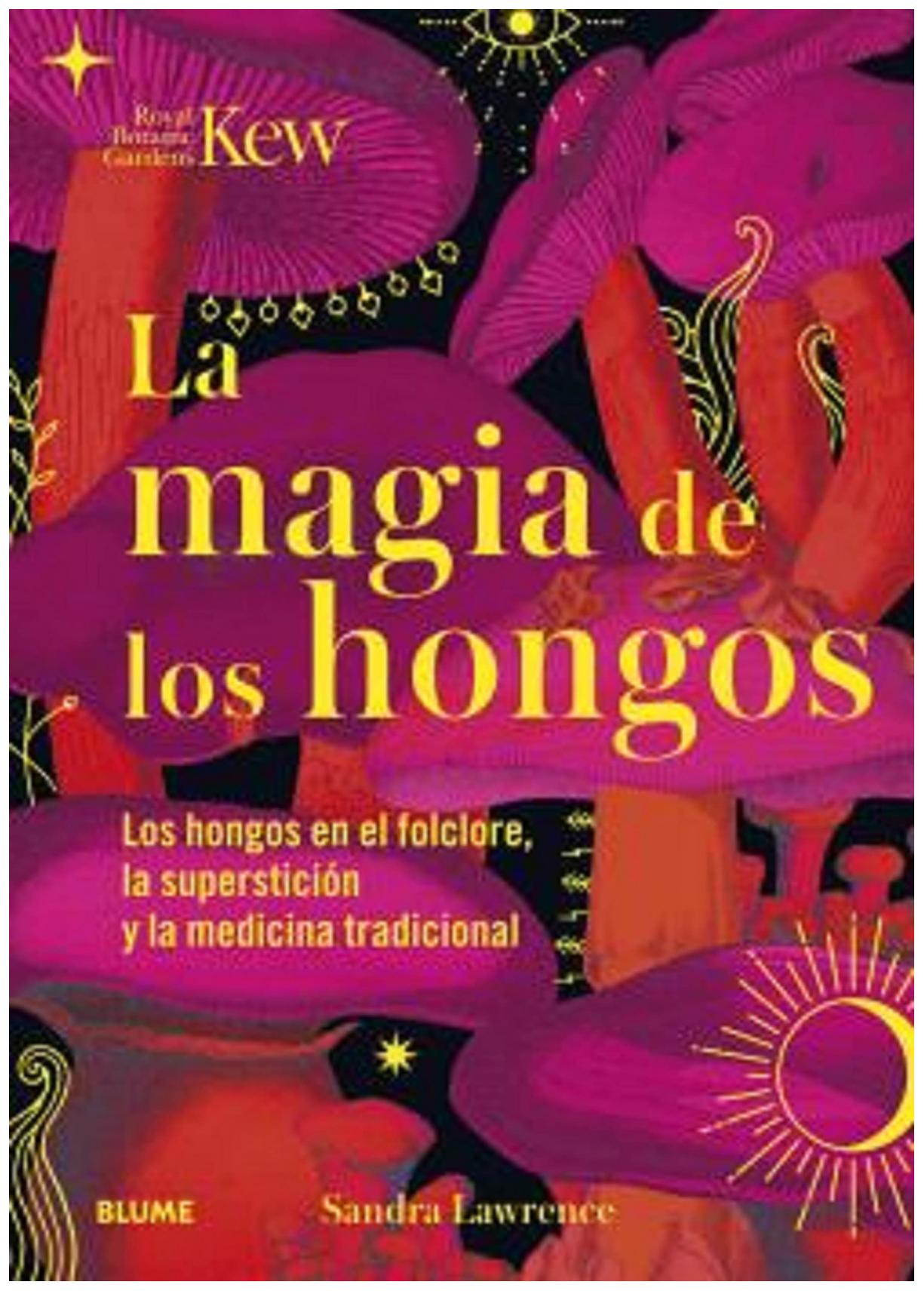 Magia De Los Hongos