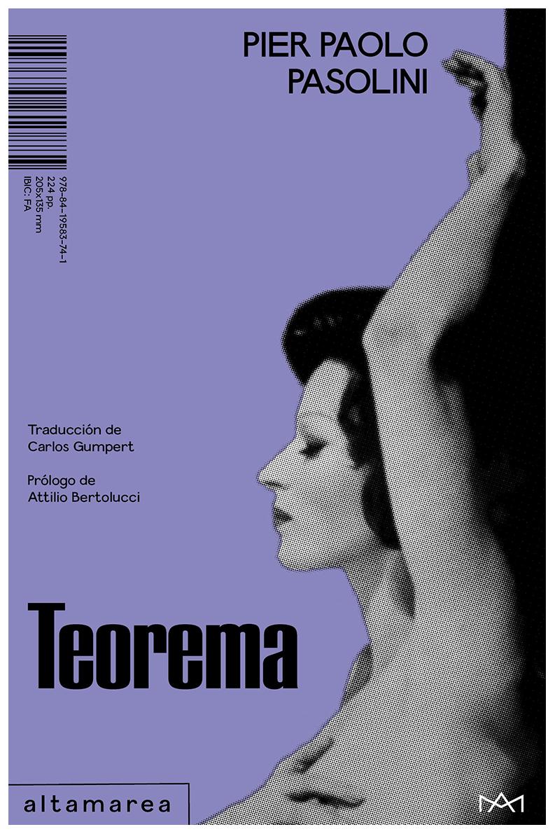 Teorema Novela Contemporánea