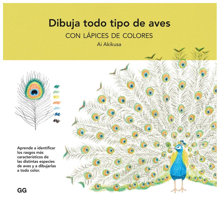 Dibuja Todo Tipo De Aves Con Lápic...