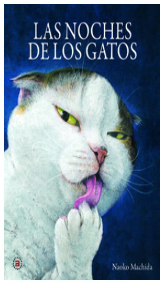 Las Noches De Los Gatos