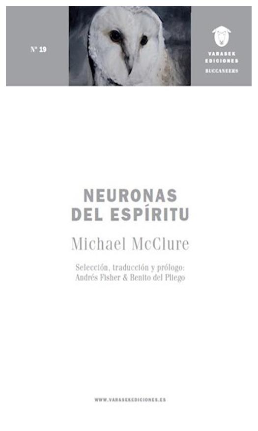 Neuronas Del Espíritu