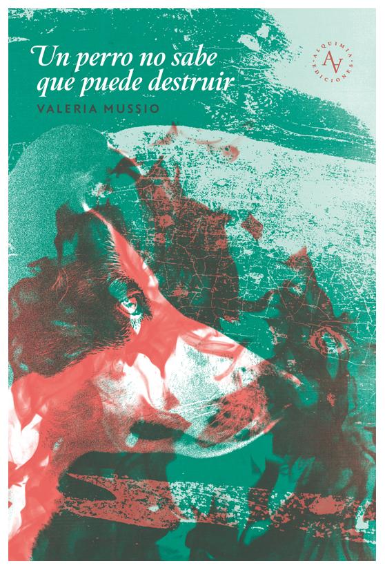 Un Perro No Sabe Que Puede Destruir