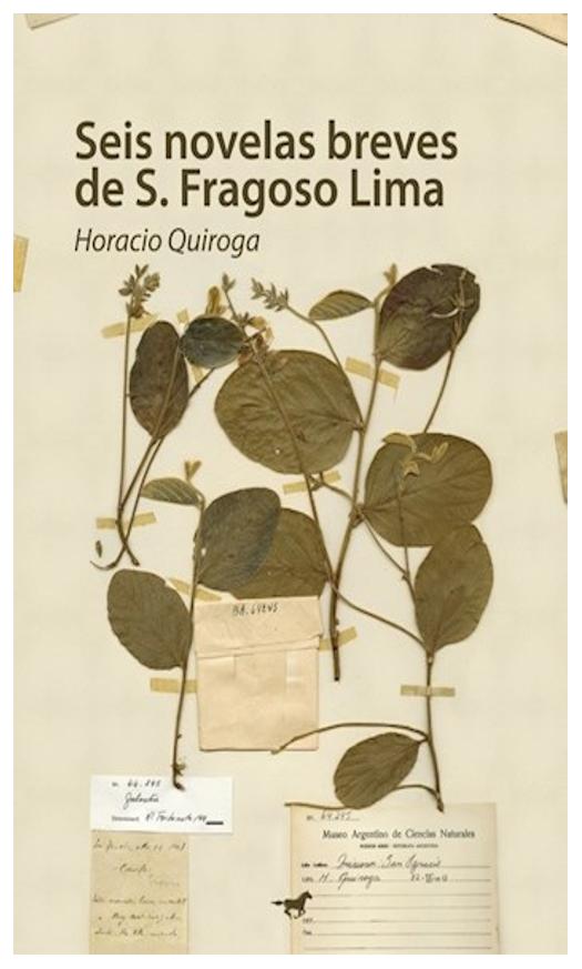 Seis Novelas Breves De S. Fragoso L...