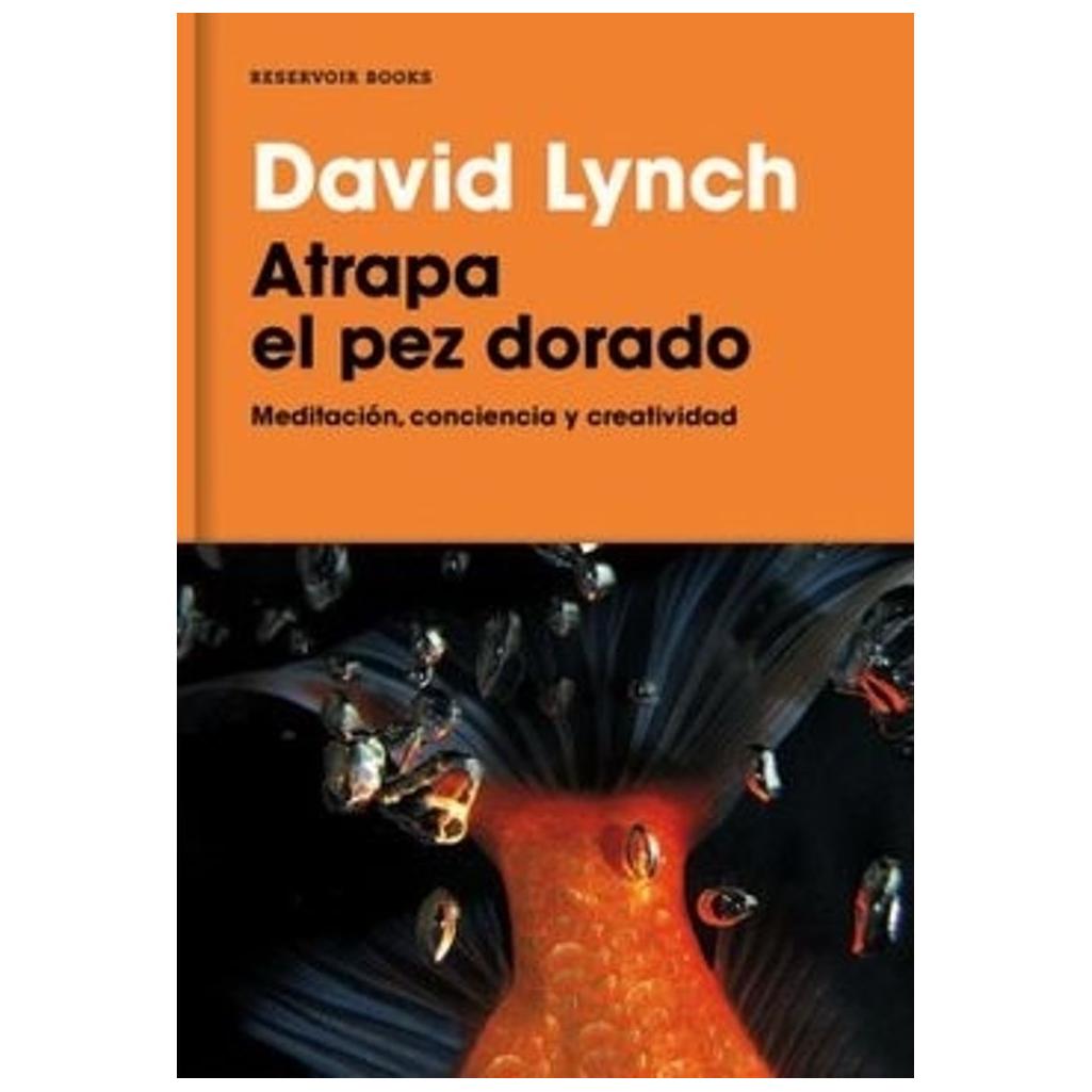 Atrapa El Pez Dorado