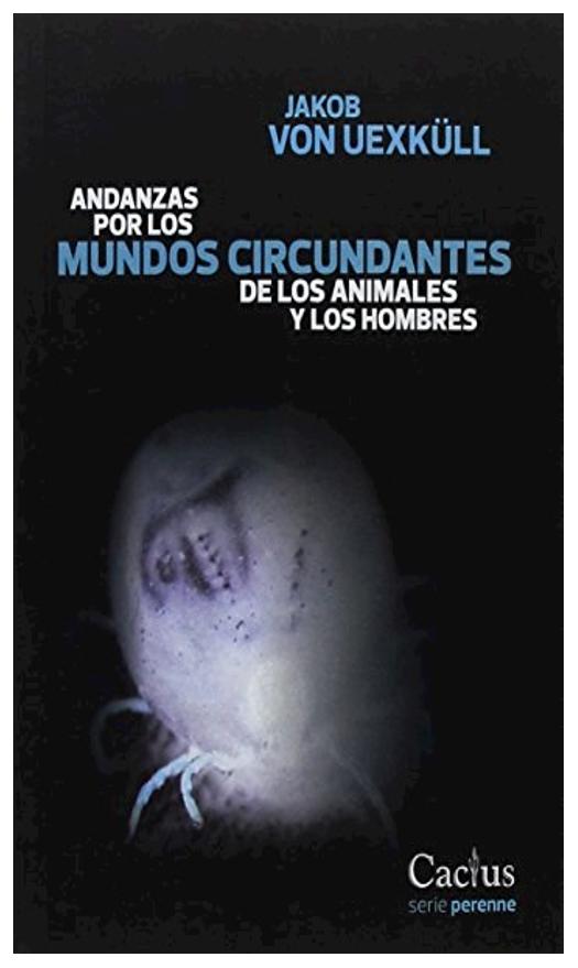 Andanzas Por Los Mundos Circundante...