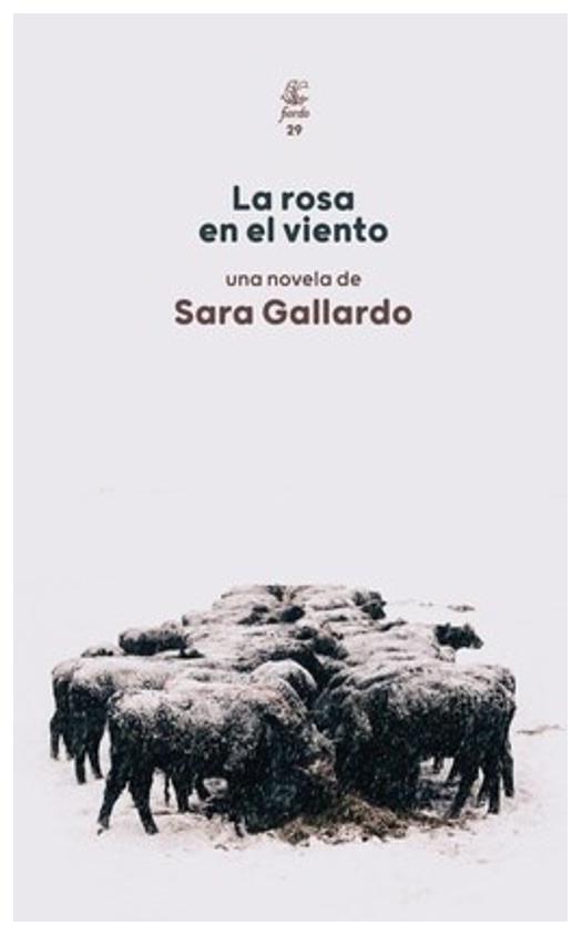 La Rosa En El Viento