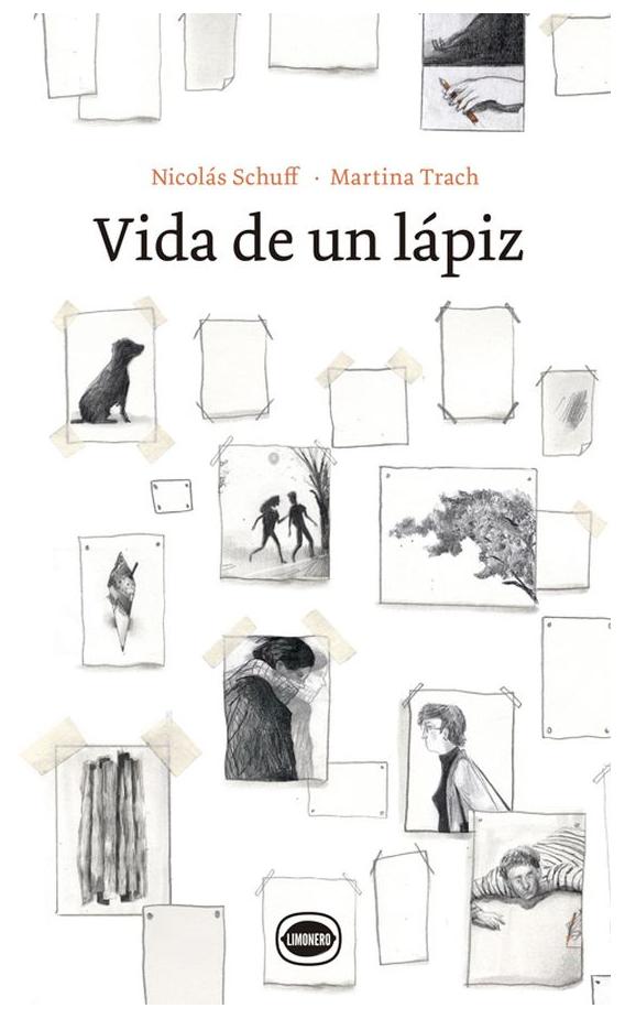 Vida De Un Lápiz