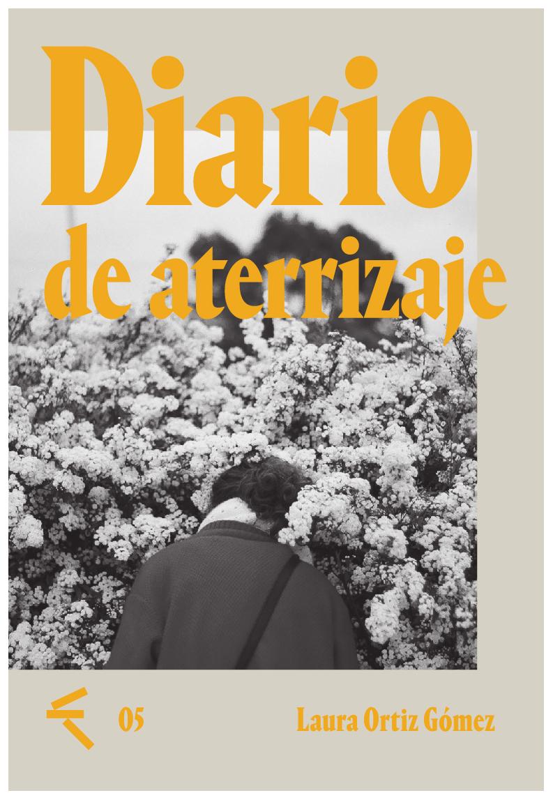 Diario De Aterrizaje