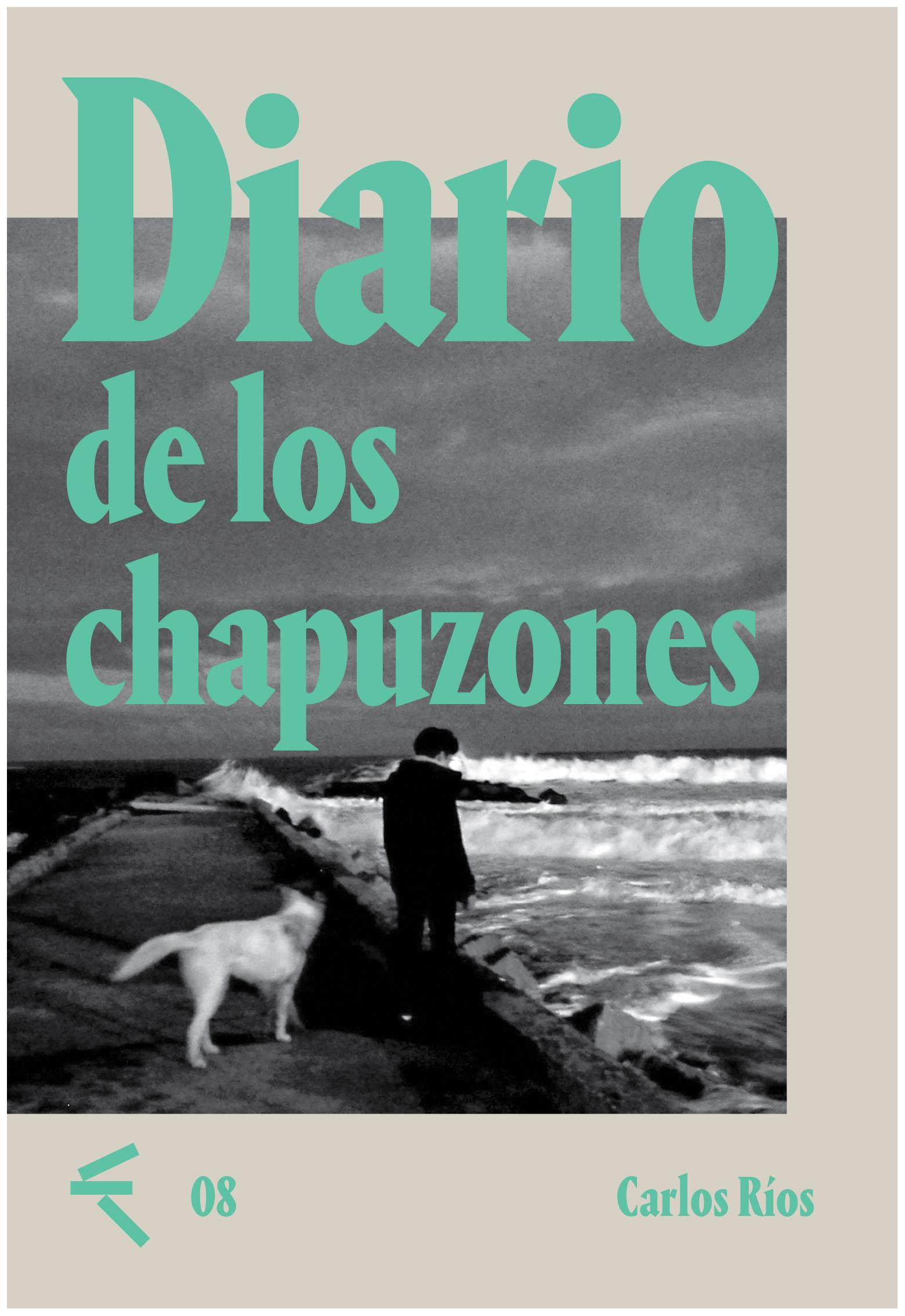 Diario De Los Chapuzones
