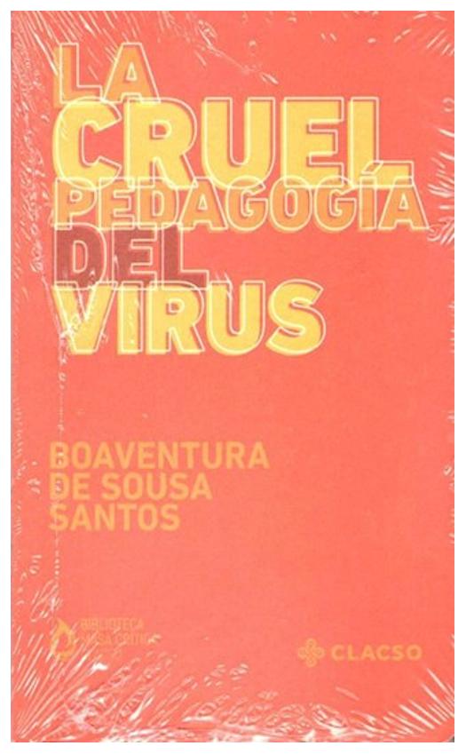 La Cruel Pedagogía Del Virus