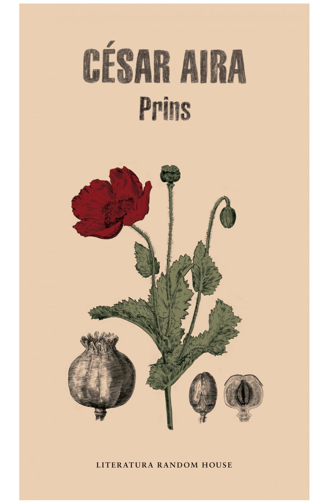 Prins