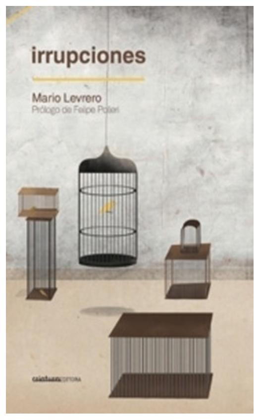 Irrupciones